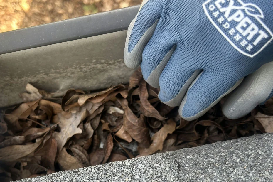 Gutter Cleaning Buckhead