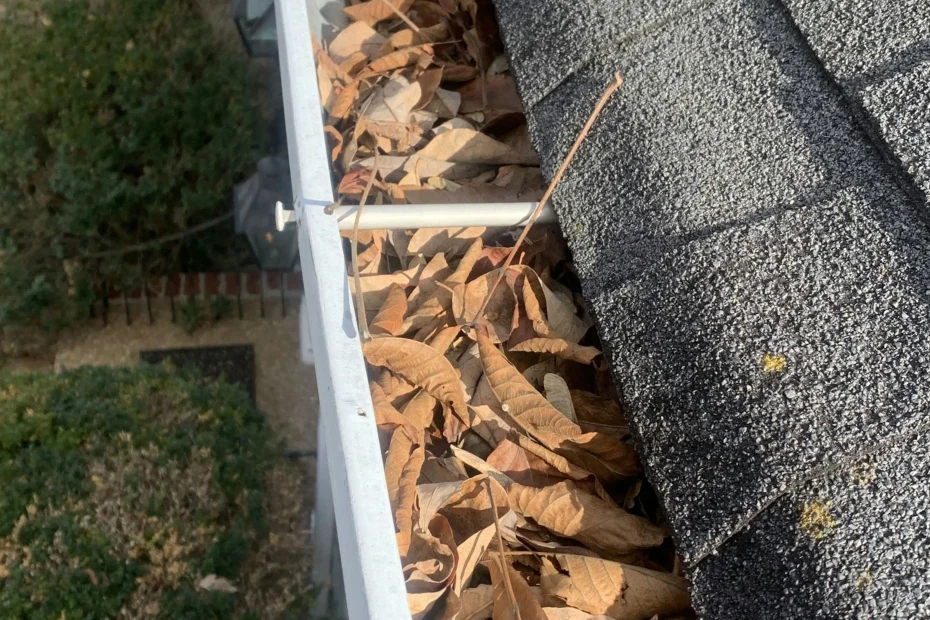 Gutter Cleaning Buckhead