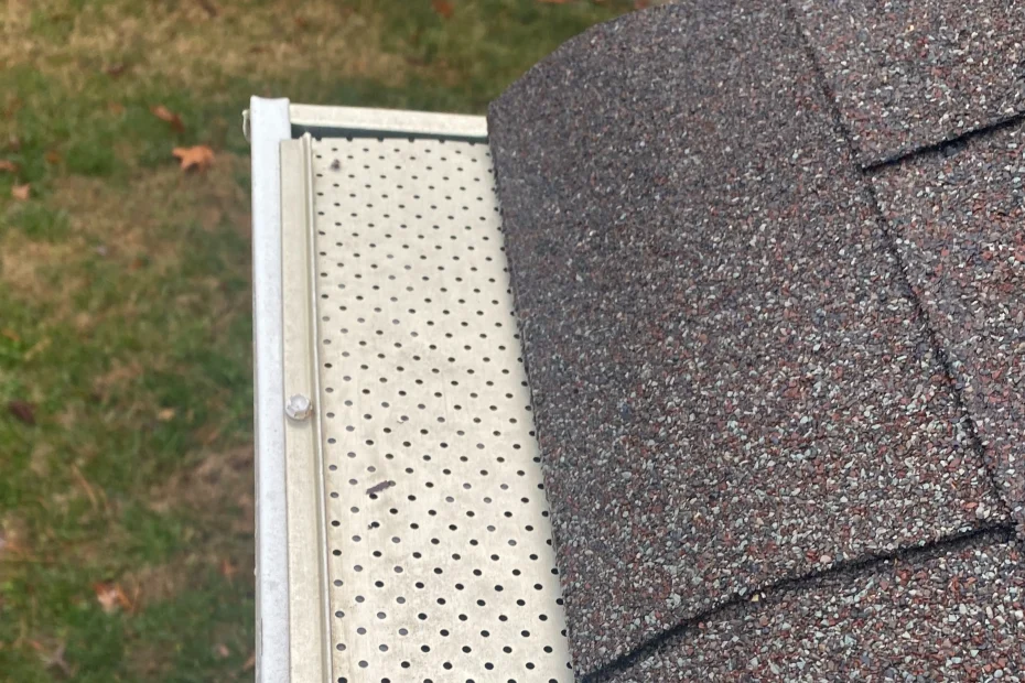 Gutter Cleaning Buckhead