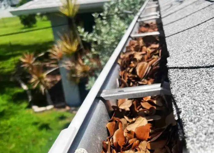 Gutter Cleaning Buckhead home page